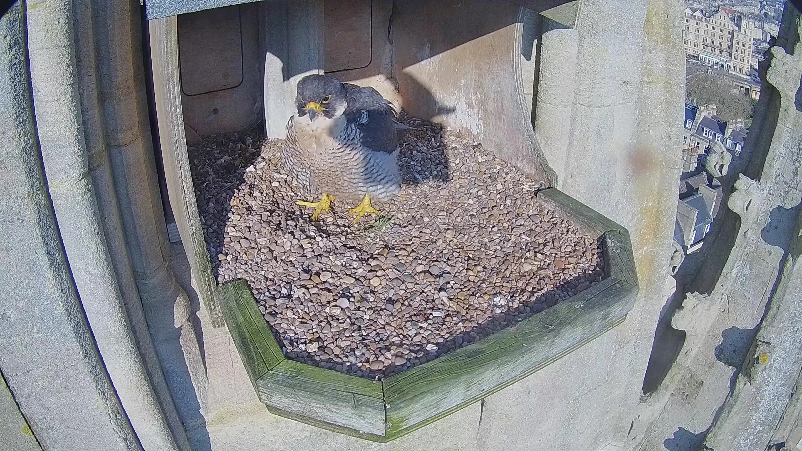 IB9387 2026 03 19 08 34 57.159